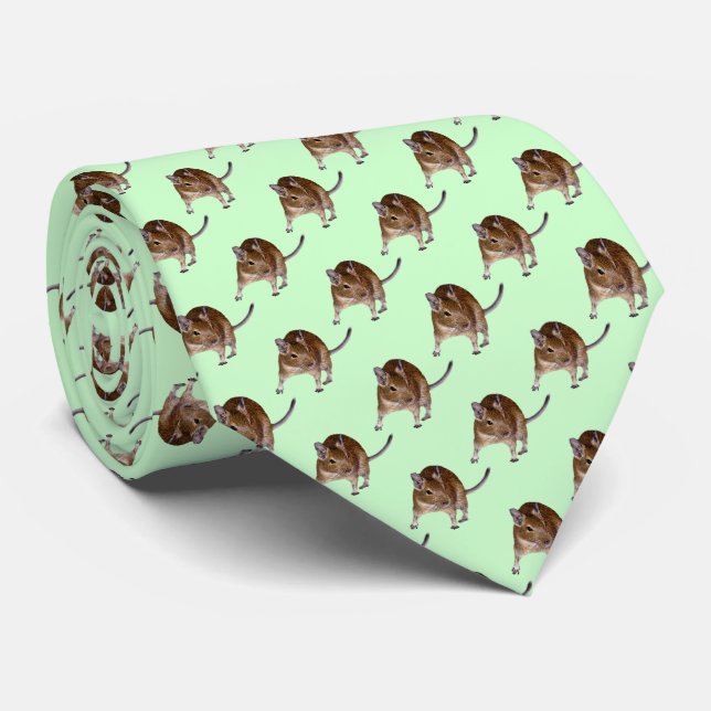 Degu Frenzy Tie (Light Green) (Rolled)