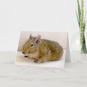 Degu Greeting Card