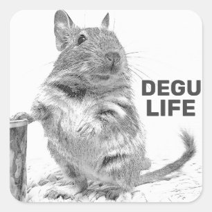 DEGU LIFE SQUARE STICKER