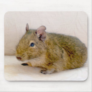 Degu Mousepad