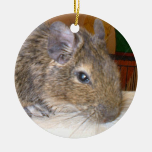 Degu Relaxing I Love Degus Ornament (Front)