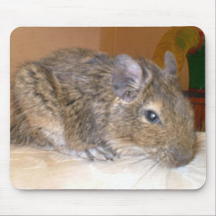 Degu relaxing Mousepad
