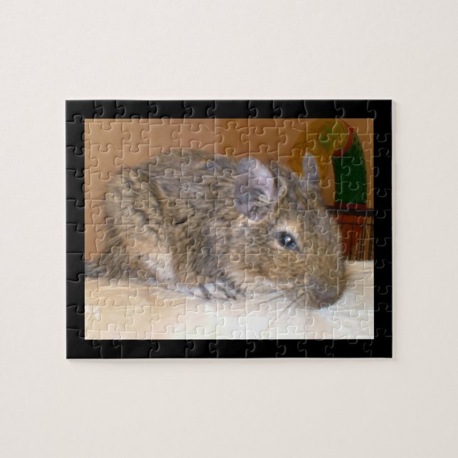 Degu Relaxing Puzzle (Horizontal)