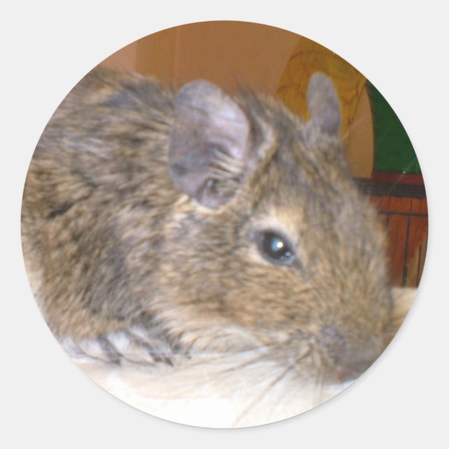 Degu Relaxing Sticker (Front)