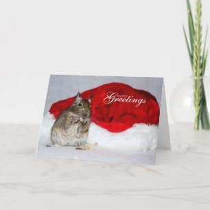 Degu & Santa Hat Season's Greetings Christmas Holiday Card