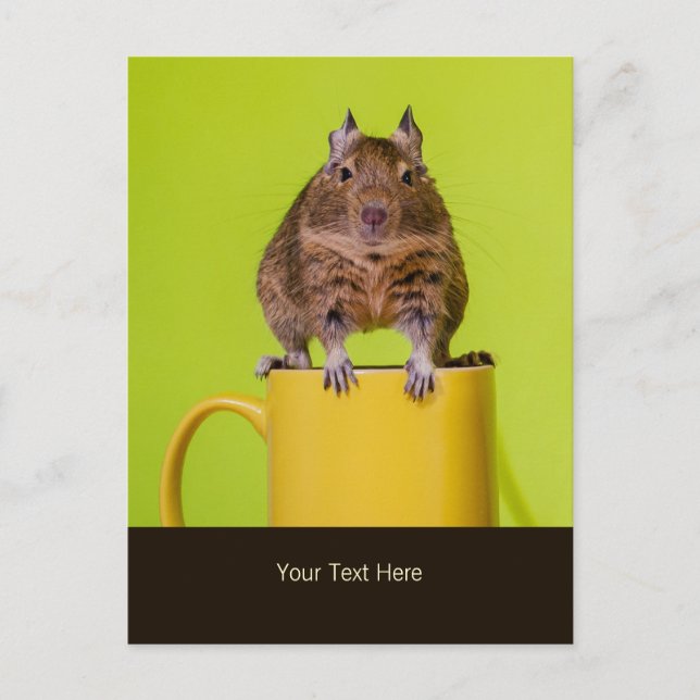 Degu Sitting on a Mug Postcard (Front)