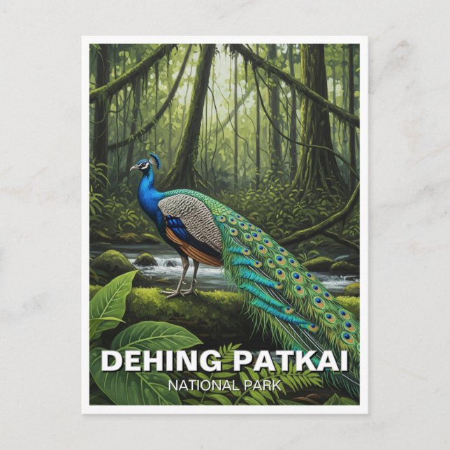 Dehing Patkai National Park India Travel Postcard (Front)