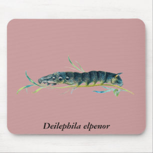 Deilephila elpenor caterpillar mouse mat