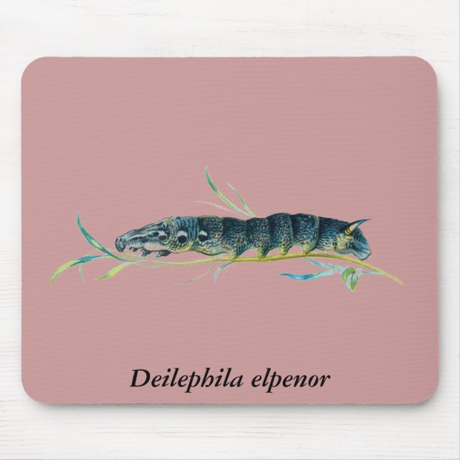Deilephila elpenor caterpillar mouse mat (Front)