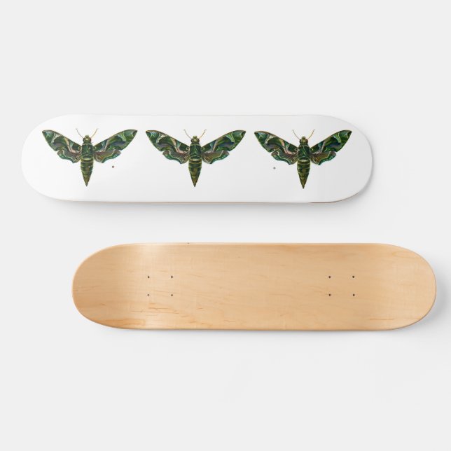 Deilephila Nerii - Oleander Hawk-Moth Skateboard (Horz)