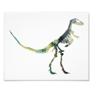 Deinodon skeleton photo print