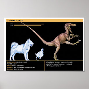 Deinonychus - Biology Jurassic Dinosaur Poster