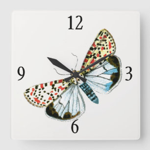 Deiopeia pulchella - Crimson-Speckled Flunkey Moth Square Wall Clock