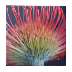 DEKO FLIESE "PROTEA" TILE