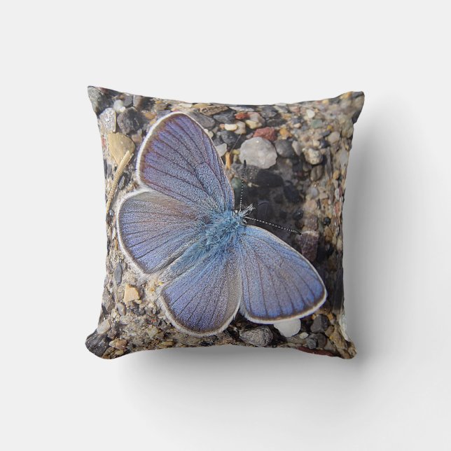 Dekokissen blauer Schmetterling Cushion (Front)