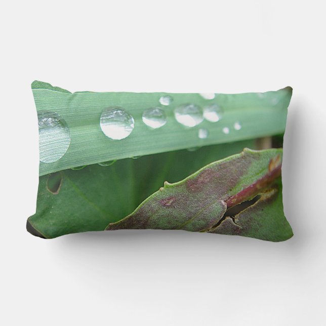 Dekokissen water drop on grass lumbar cushion (Front)