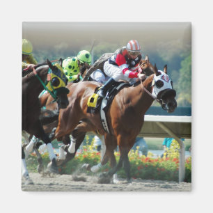 Del Mar Racetrack Magnet