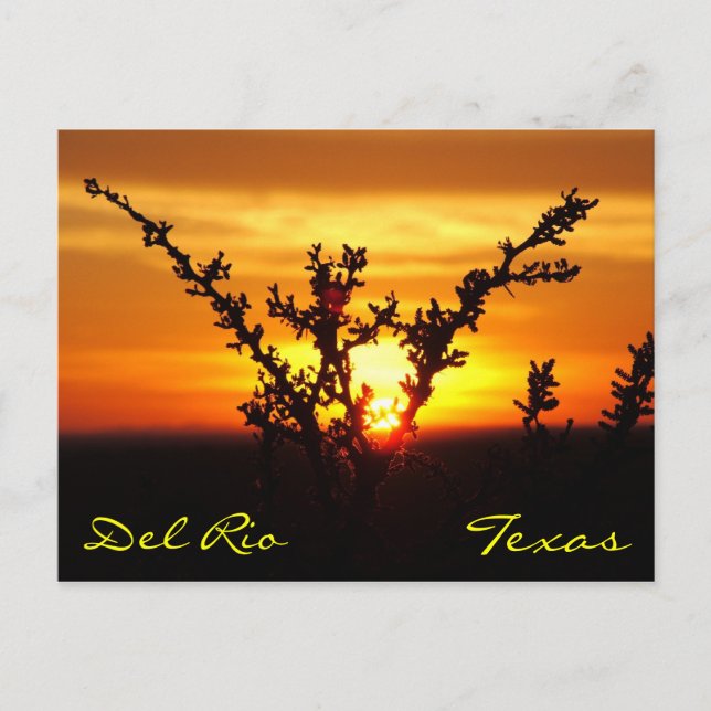 Del Rio Texas Brush Sunset Postcard (Front)