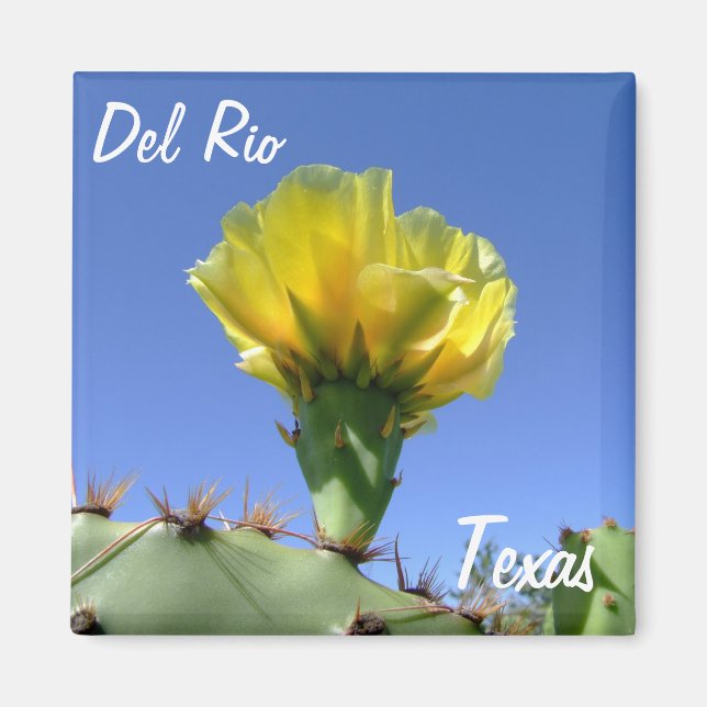 Del Rio Texas souvenirs yellow cactus flower. Magnet (Front)