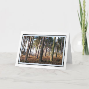 Delamere Forest Greetings Card