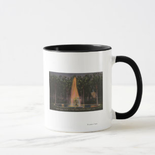Deland, Florida - Stetson University Mug