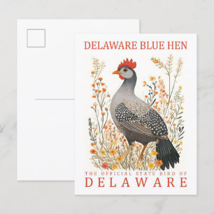 Delaware Blue Hen Bird of Delaware USA Travel Postcard