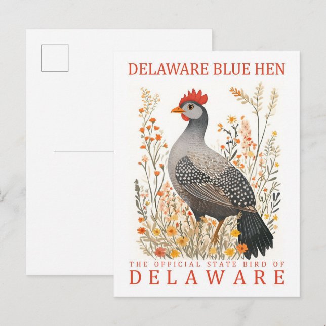 Delaware Blue Hen Bird of Delaware USA Travel Postcard (Front/Back)