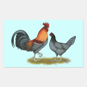 Delaware Blue Hen Rectangular Sticker