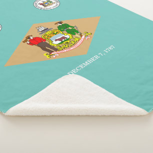 Delaware flag sherpa blanket