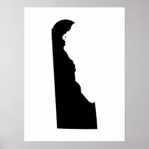 Delaware in Black and White Poster