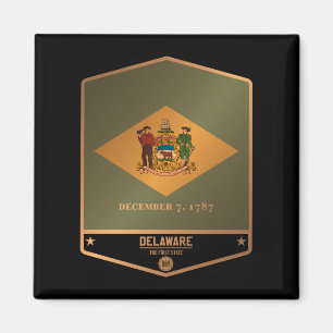Delaware Magnet