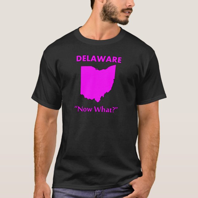 Delaware - Now What? T-Shirt (Front)