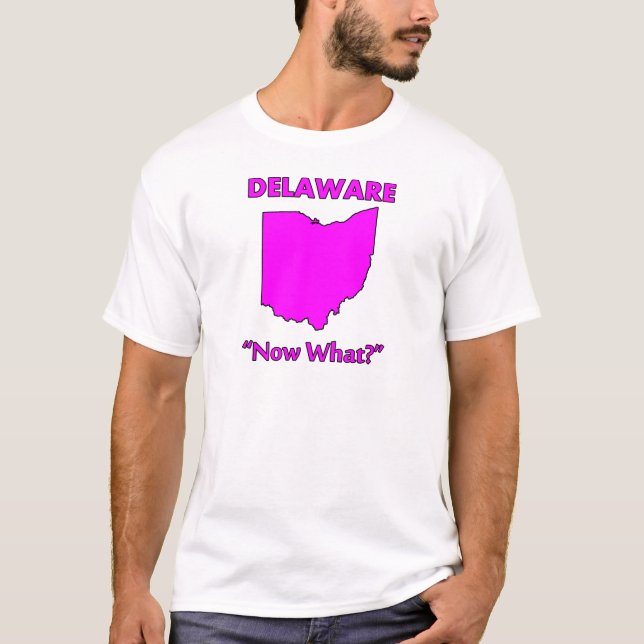 Delaware - Now What? T-Shirt (Front)
