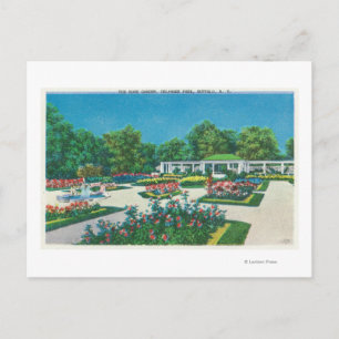Delaware Park Rose Garden View Postcard