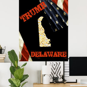DELAWARE POSTER