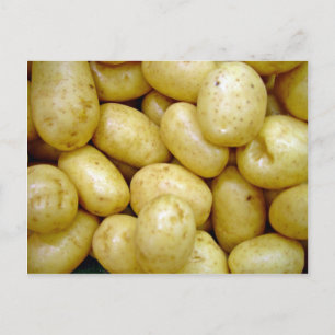 Delaware potatoe postcard