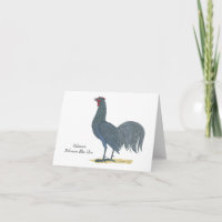 Delaware State Bird: Delaware Blue Hen