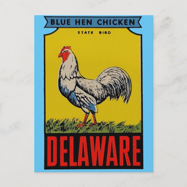 Delaware State Bird Postcard (Front)