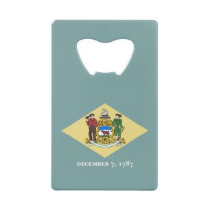 Delaware State Flag