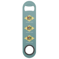 Delaware State Flag