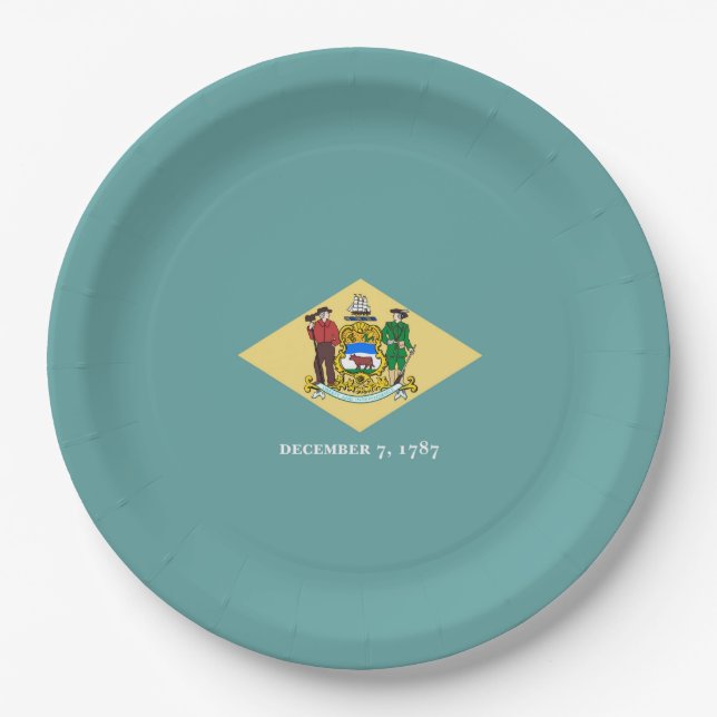 Delaware State Flag Design Paper Plate (Front)