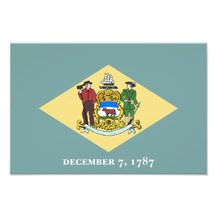 Delaware State Flag Photo Print