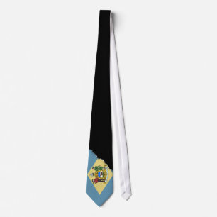 Delaware State Flag Tie