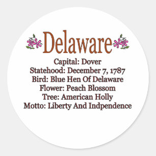 Delaware State Info Sticker
