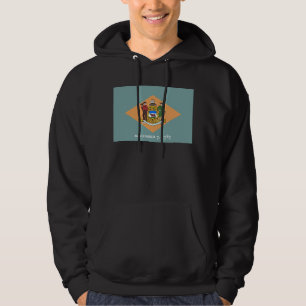 Delaware The Diamond US State Flag Hoodie