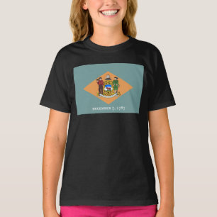 Delaware The Diamond US State Flag T-Shirt
