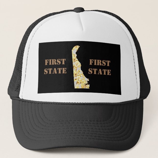 DELAWARE TRUCKER HAT (Front)