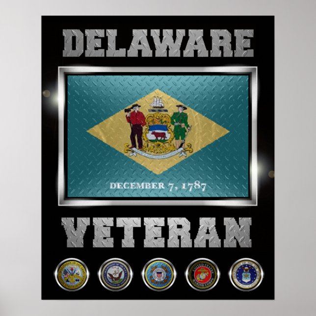 Delaware Veteran Poster (Front)