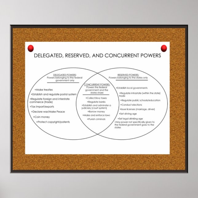 Delegated, Reserved, Concurrent Powers   *UPDATED* Poster (Front)