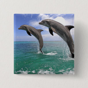 Delfin 15 Cm Square Badge
